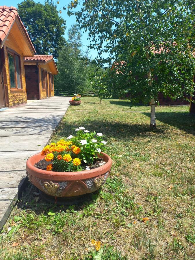 Вилно Селище Мировец Maluk Izvor  Luaran gambar